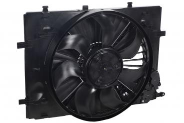 fan 