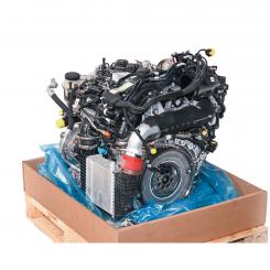 Gasoline engine 