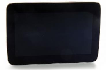 Central display monitor 