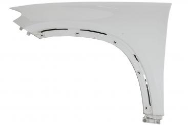 Left front fender 