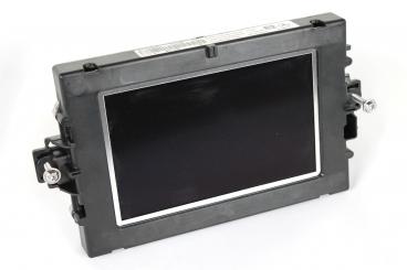 Central display monitor 