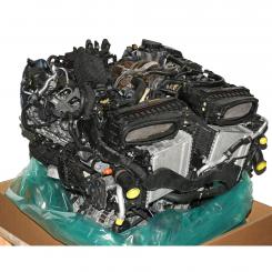 Gasoline engine 