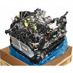Gasoline engine 