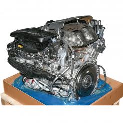 Gasoline engine 