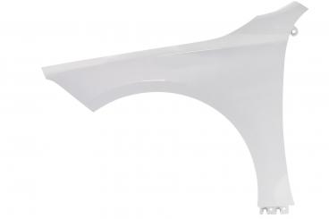 Left front fender 