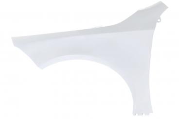 Left front fender 