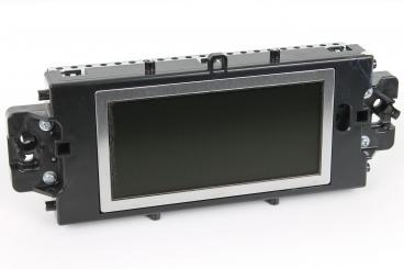 Central display monitor 