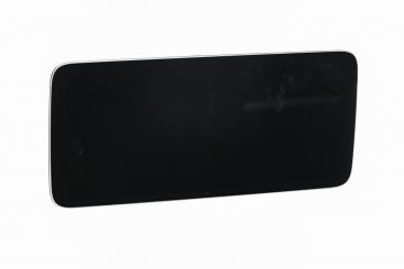 Central display monitor 
