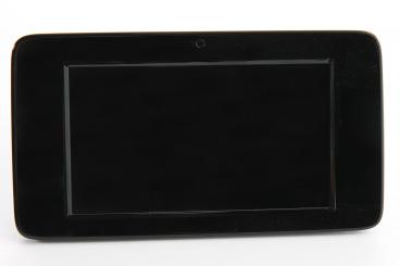 Central display monitor 
