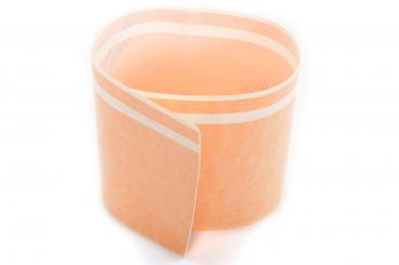 Accessories, apricot yellow trim strips for panoramic roof 