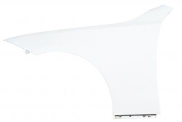Left front fender 