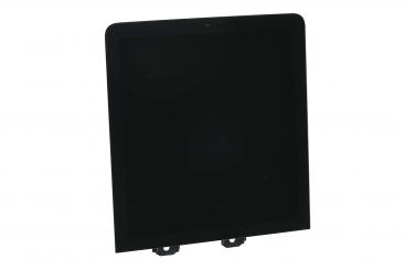 Central display monitor 