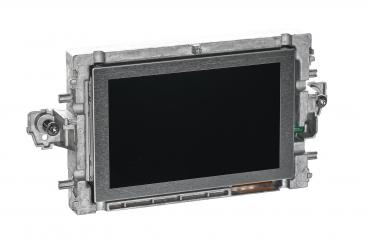 Central display monitor 