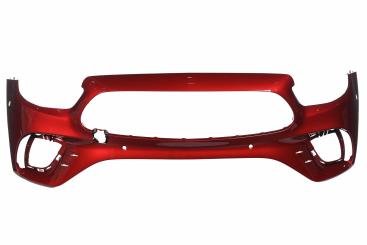 Front bumper skin PTS 