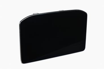 Central display monitor