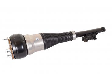 Shock absorber H right 