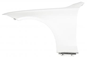 Left front fender 