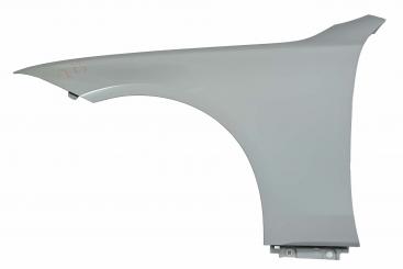 Left front fender 