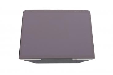 Central display monitor 