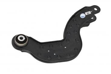 Camber strut 