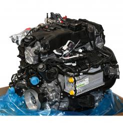Gasoline engine 