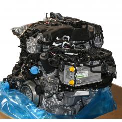 Gasoline engine 