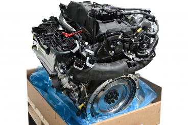 Gasoline engine 