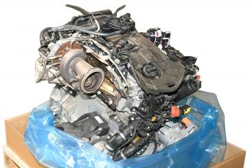 Gasoline engine 