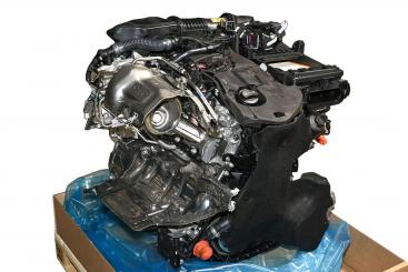 Gasoline engine 