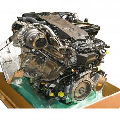 Gasoline engine 