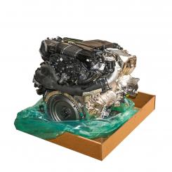Gasoline engine