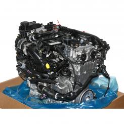 Gasoline engine 