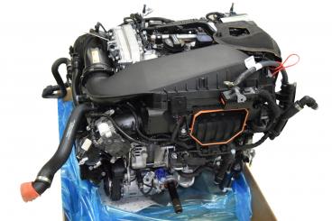 Gasoline engine 