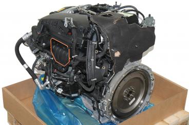 Gasoline engine 264920 