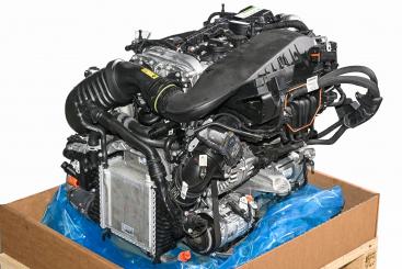 Gasoline engine 264920 