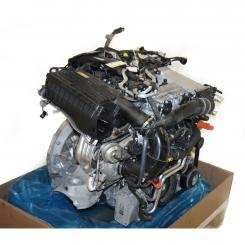 Gasoline engine BM274920 