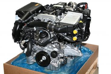Gasoline engine 