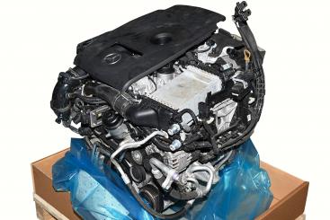 Gasoline engine 