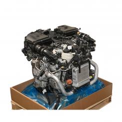 Gasoline engine 