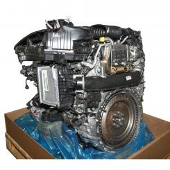 Diesel engine BM654820