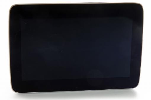 Central display monitor