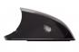 Outside mirror housing RH cover panel BTM with surround ligh  - Image 1