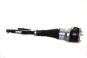 Shock absorber H air spring right  - Image 1