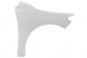 Right front fender  - Image 1