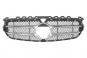 Iridium silver matt radiator grille SRV  - Image 1