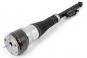 Shock absorber H air spring left  - Image 2