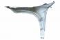 Right front fender  - Image 2