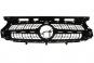 Radiator grille matt iridium silver FCW/SRV  - Image 2