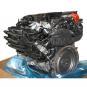 Gasoline engine BM256830  - Image 2
