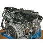 Gasoline engine 276823  - Image 2